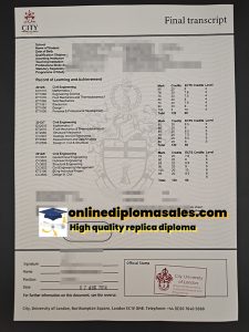 City, University of London transcript