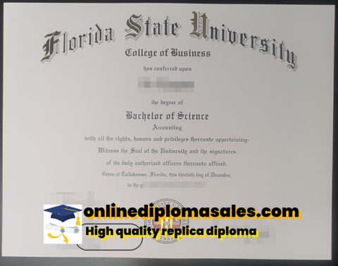 FLORIDA STATE UNIVERSITY EDUCATION VERIFICATION visual data 3