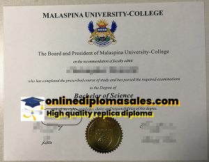 How to buy Malaspina University degree certificate?