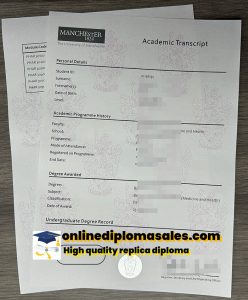 Manchester University transcript