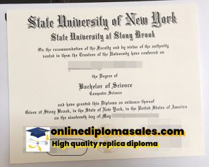 How to get a diploma from Stony Brook University quickly?