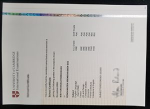 UNIVERSITY of CAMBRIDGE International Examinations Certificate