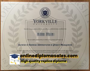 How long does it take to buy a Yorkville University diploma?