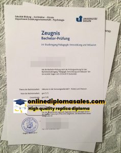 Where to buy University of Siegen bachelor's degree?