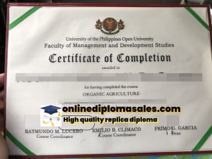 How long does it take to buy a university of the Philippines Open University diploma?